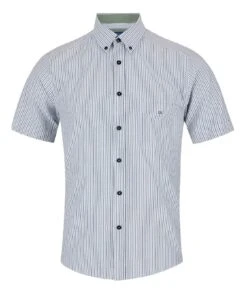 DG's Drifter Ivano Short Sleeve Stripe Oxford Shirt Green