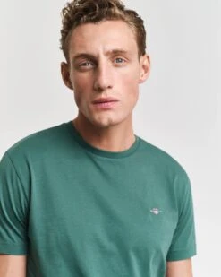 GANT Mens Regular Shield T-Shirt Woody Green -Casa Moda Store gant mens regular shield t shirt woody green northern ireland belfast lisburn 429