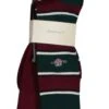 GANT Mens Shield Stripe And Rib Socks 2-Pack Woody Green -Casa Moda Store gant mens shield stripe and rib socks 2 pack woody green northern ireland belfast lisburn 159