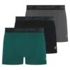 Lyle & Scott Barclay Boxers Bayberry/ Granite / Black
