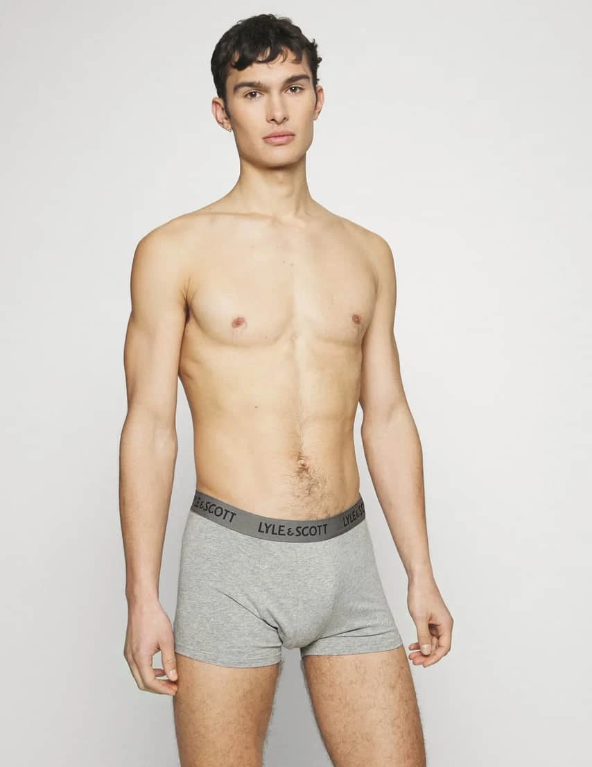 Lyle & Scott Men's Boxers Barclay 3-Pack Cotton Briefs Dark Denim,Grey,Beetle 7 Lyle & Scott Men's Boxers Barclay 3-Pack Cotton Briefs Dark Denim,Grey,Beetle - Image 5