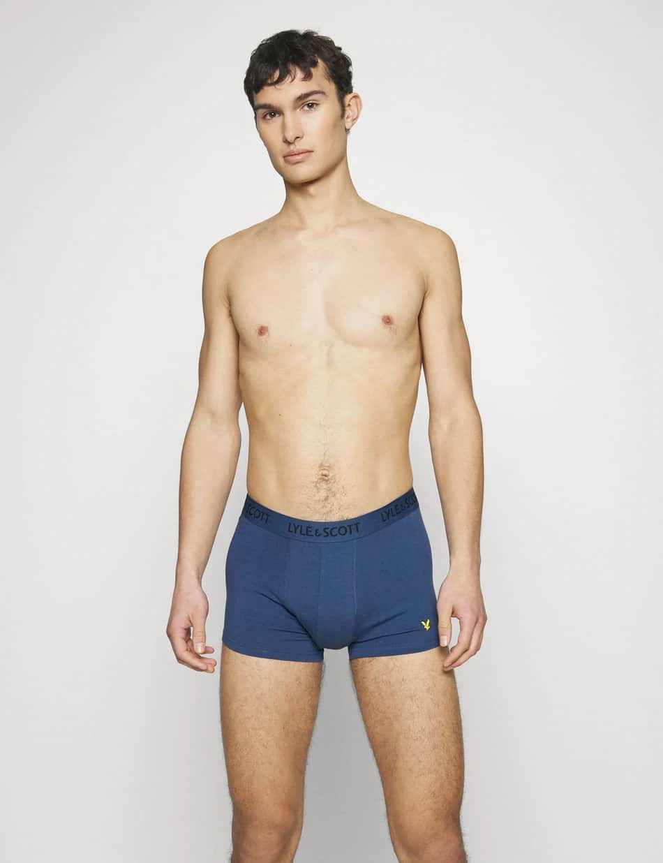 Lyle & Scott Men's Boxers Barclay 3-Pack Cotton Briefs Dark Denim,Grey,Beetle 6 Lyle & Scott Men's Boxers Barclay 3-Pack Cotton Briefs Dark Denim,Grey,Beetle - Image 4