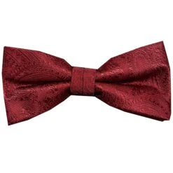 Vichi Mens Bow Tie & Pocket Sqaure Set Dark Red Paisley