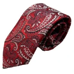 Vichi Mens Tie & Pocket Square Set Paisley Red