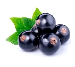 Yodeyma Celebrity Woman 50ml Womens Perfume - Inspired By La Vie Est Belle (Lancôme) -Casa Moda Store yodeyma celebrity woman 50ml womens perfume inspired by la vie est belle lancome 507