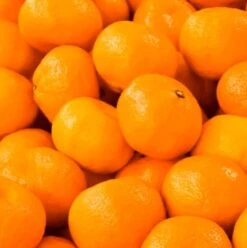 Yodeyma Cheante 50ml Womens Perfume - Inspired By Coco Chanel (Chanel) -Casa Moda Store yodeyma cheante 50ml womens perfume inspired by coco chanel chanel northern ireland 587