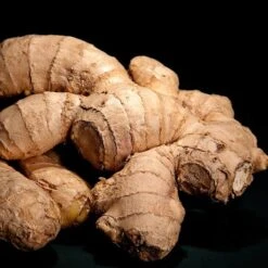 Yodeyma Complicidad 50ml -Casa Moda Store yodeyma complicidad 50ml northern ireland belfast lisburn 652