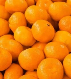 Yodeyma Metal Sport 15ml - Inspired By Chanel Allure Homme Sport -Casa Moda Store yodeyma metal sport 15ml inspired by chanel allure homme northern ireland belfast 275