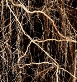 Yodeyma Metal Sport 15ml - Inspired By Chanel Allure Homme Sport -Casa Moda Store yodeyma metal sport 15ml inspired by chanel allure homme northern ireland belfast 571