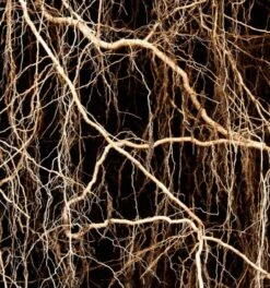 Yodeyma Metal Sport 50ml - Inspired By Chanel Allure Homme Sport -Casa Moda Store yodeyma metal sport 50ml inspired by chanel allure homme northern ireland belfast 280