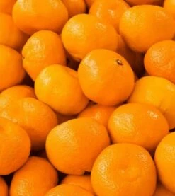 Yodeyma Metal Sport 50ml - Inspired By Chanel Allure Homme Sport -Casa Moda Store yodeyma metal sport 50ml inspired by chanel allure homme northern ireland belfast 976