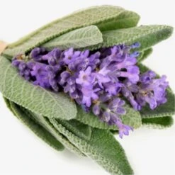 Yodeyma Wow Scent 50ml - Inspired By Stronger With You Emporio Armani -Casa Moda Store yodeyma wow scent 50ml inspired by stronger with you emporio armani northern ireland 299